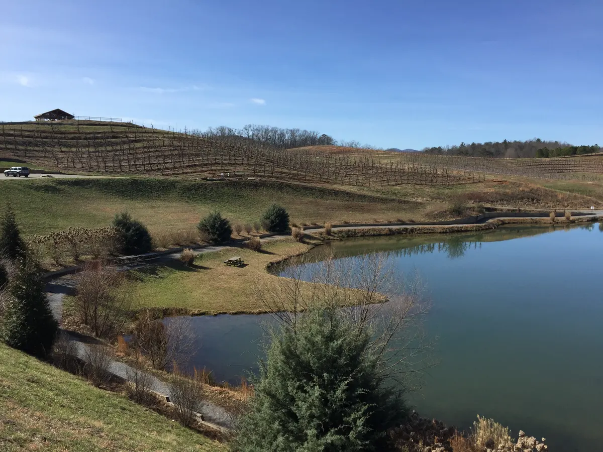 Mercier Orchards near Blue Ridge, Georgia, in February 2017